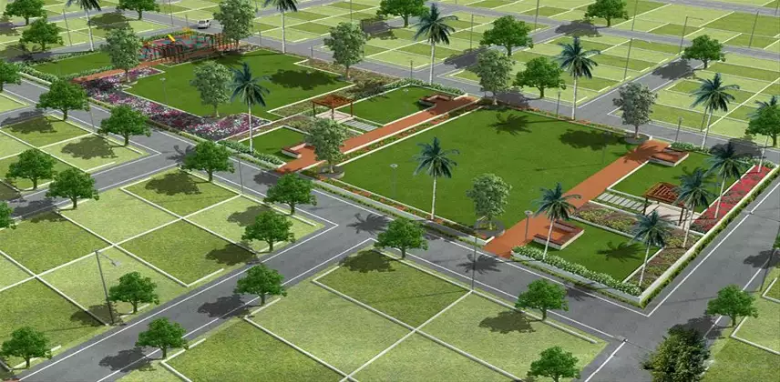Arvind Orchards